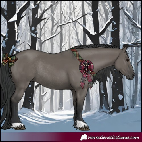 Horse Color:Grullo and Grullo Rabicano