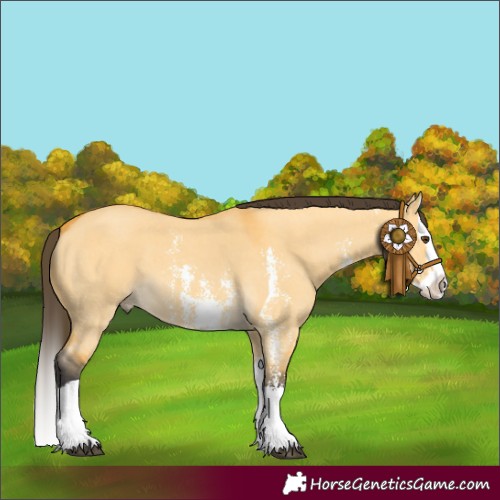 Horse Color:Buckskin Dun Sabino Splash 