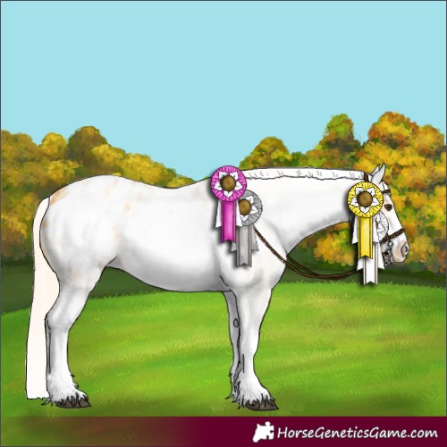 Horse Color:White Spotted Palomino Roan Frame Blanket 