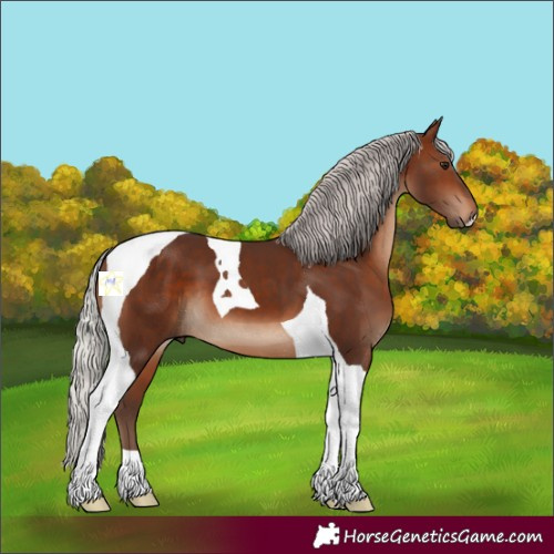 Horse Color:Silver Brown Tobiano 