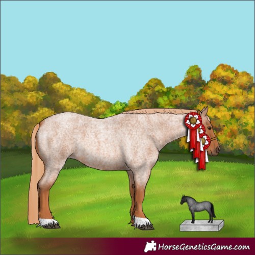 Horse Color:Red Roan 