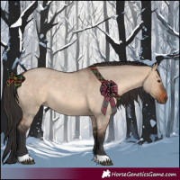 Horse Color:Brown Roan Dun Rabicano
