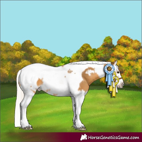 Horse Color:Silver Buckskin Splash Tobiano Frame 