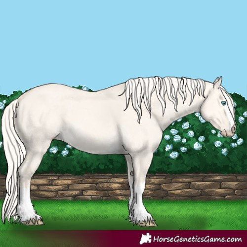 Horse Color:Cremello Dun 