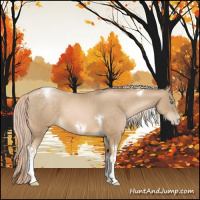 Horse Color:Chocolate Palomino Pearl Tobiano Frame  and Chocolate Palomino Pearl Tobiano Frame 