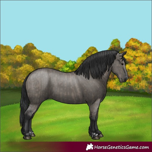 Horse Color:Grullo and Grullo