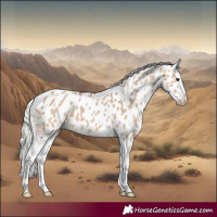 Horse Color:Silver Brown Dun Near Leopard 