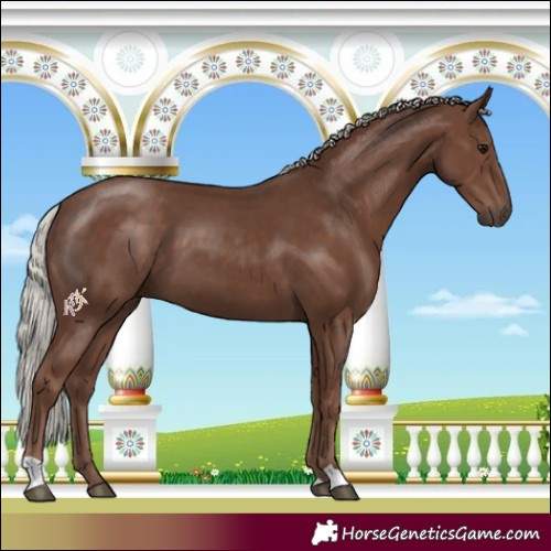 Horse Color:Silver Black 