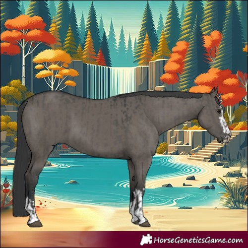 Horse Color:Grullo  and Grullo 