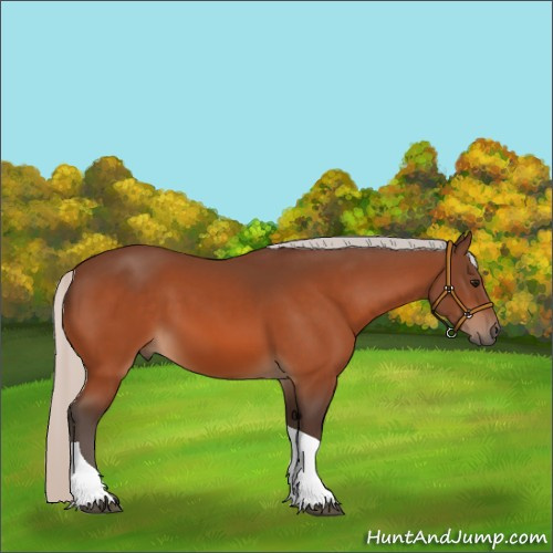 Horse Color:Silver Bay Sabino Tobiano 
