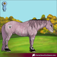 Horse Color:ERROR: UNKNOWN ANOMALY