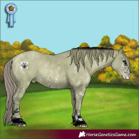 Horse Color:ERROR: UNKNOWN ANOMALY