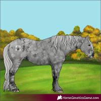 Horse Color:ERROR: UNKNOWN ANOMALY