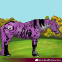 Horse Color:ERROR: UNKNOWN ANOMALY