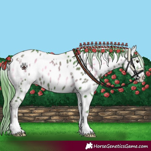 Horse Color:Watercolor White Spotted Liver Red Onyx Sabino Near Leopard 