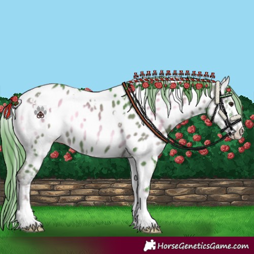 Horse Color:Watercolor White Spotted Liver Red Onyx Sabino Appaloosa 