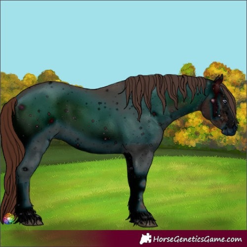 Horse Color:ERROR: UNKNOWN ANOMALY