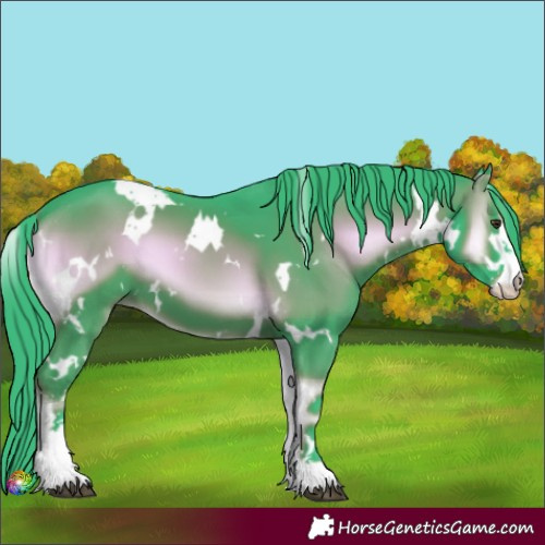 Horse Color:Watercolor White Spotted Liver Red Onyx Sabino 