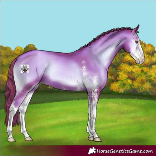 Horse Color:Watercolor Liver Red Onyx Pearl Sabino 