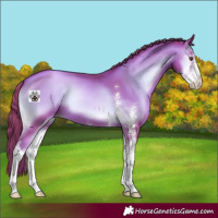 Horse Color:Watercolor Liver Red Onyx Pearl Sabino 