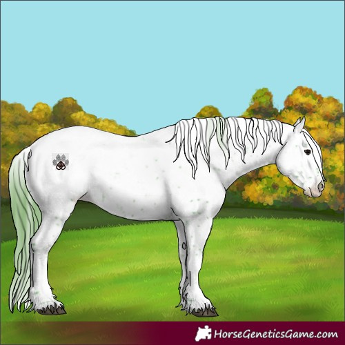 Horse Color:Watercolor Black Sabino Snowcap 
