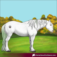 Horse Color:Watercolor Black Sabino Snowcap 