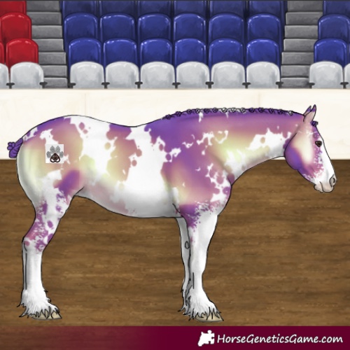 Horse Color:Watercolor White Spotted Liver Red Onyx Sabino 