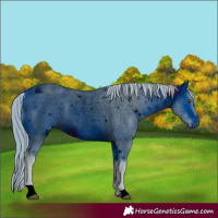 Horse Color:ERROR: UNKNOWN ANOMALY