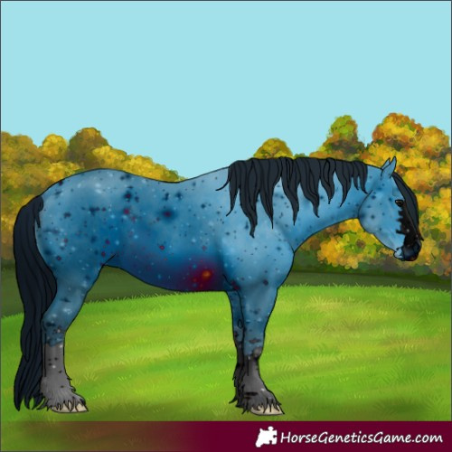 Horse Color:ERROR: UNKNOWN ANOMALY