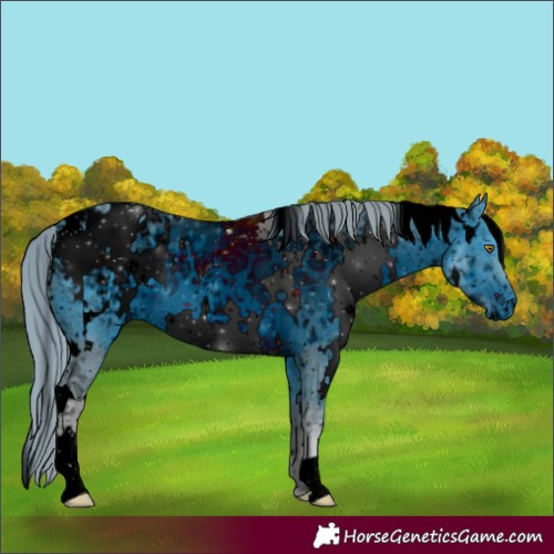 Horse Color:ERROR: UNKNOWN ANOMALY