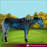 Horse Color:ERROR: UNKNOWN ANOMALY