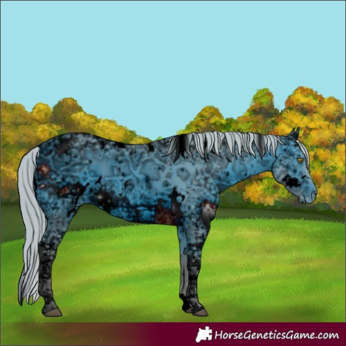 Horse Color:ERROR: UNKNOWN ANOMALY