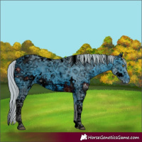 Horse Color:ERROR: UNKNOWN ANOMALY