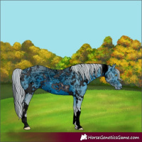 Horse Color:ERROR: UNKNOWN ANOMALY