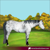 Horse Color:ERROR: UNKNOWN ANOMALY
