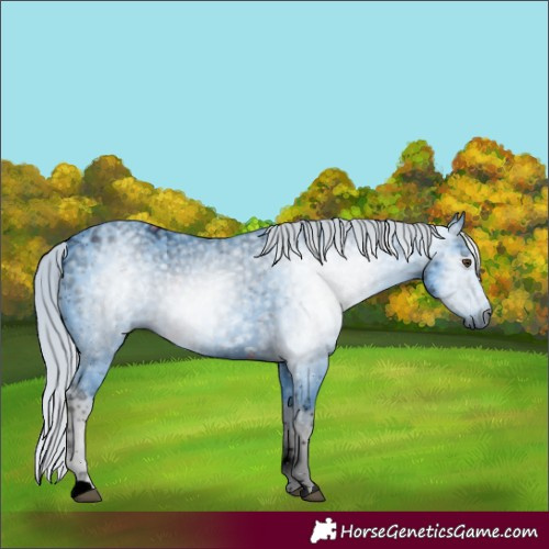 Horse Color:ERROR: UNKNOWN ANOMALY