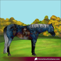 Horse Color:ERROR: UNKNOWN ANOMALY