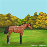 Horse Color:Brown Ice