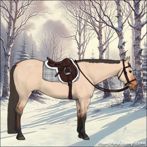 Horse Color:Bay Roan Dun 