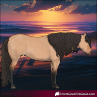 Horse Color:Bay Dun