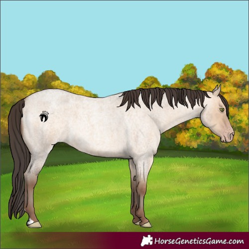 Horse Color:Sable Champagne Roan Dun 