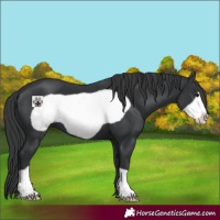 Horse Color:Black Frame 