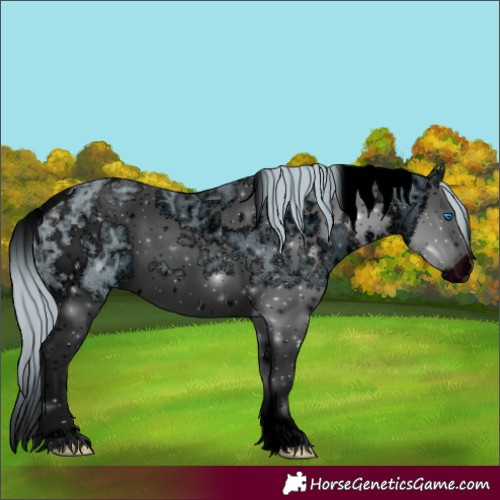 Horse Color:ERROR: UNKNOWN ANOMALY