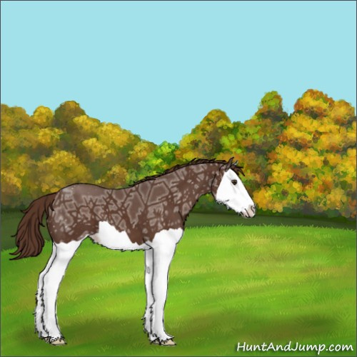 Horse Color:Liver Chestnut Ice Splash 