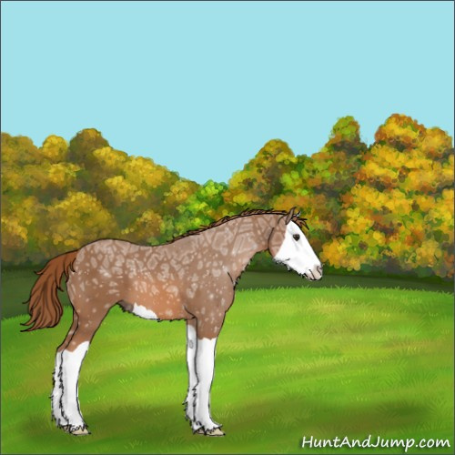 Horse Color:Chestnut Ice Splash