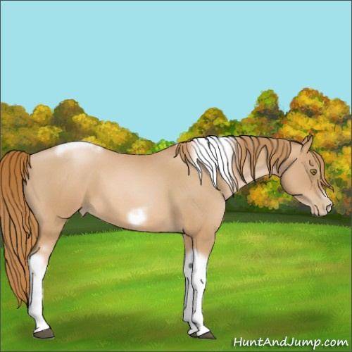 Horse Color:Red Roan Pearl Tobiano Frame 