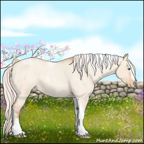 Horse Color:Silver Amber Champagne Roan Dun Splash Tobiano Frame Appaloosa Rabicano