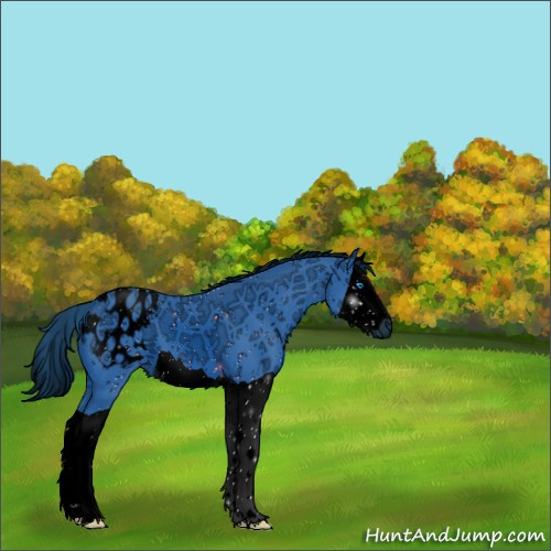 Horse Color:ERROR: UNKNOWN ANOMALY