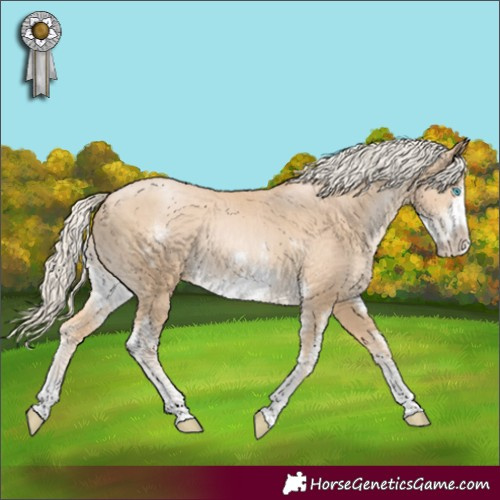 Horse Color:Palomino Pearl Sabino Frame Rabicano 