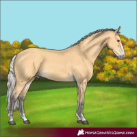 Horse Color:Silver Buckskin